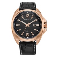 Citizen MEN'S Eco-Drive Leather Black Dial Watch AW1723-02E