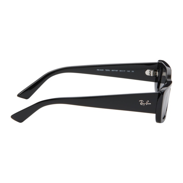  레이밴 Ray-Ban Black Teru Sunglasses 242718F005021