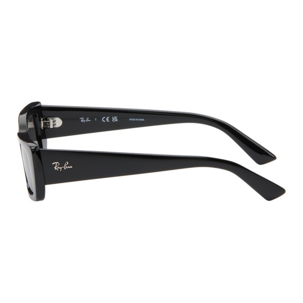  레이밴 Ray-Ban Black Teru Sunglasses 242718F005021