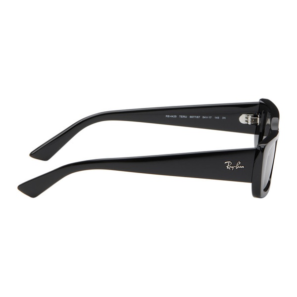  레이밴 Ray-Ban Black Teru Sunglasses 242718M134015